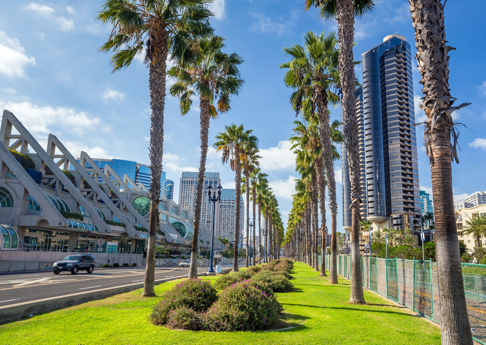 Your Guide to San Diego’s Free Walking Tours & Hidden Gems